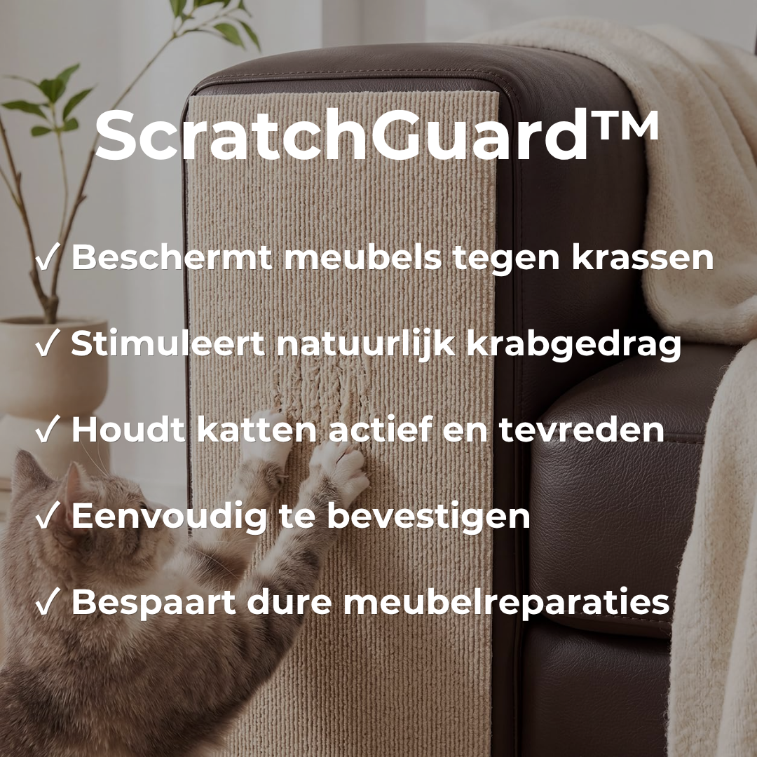 ScratchGuard™ Zelfklevende Krab- & Klimmat voor Katten