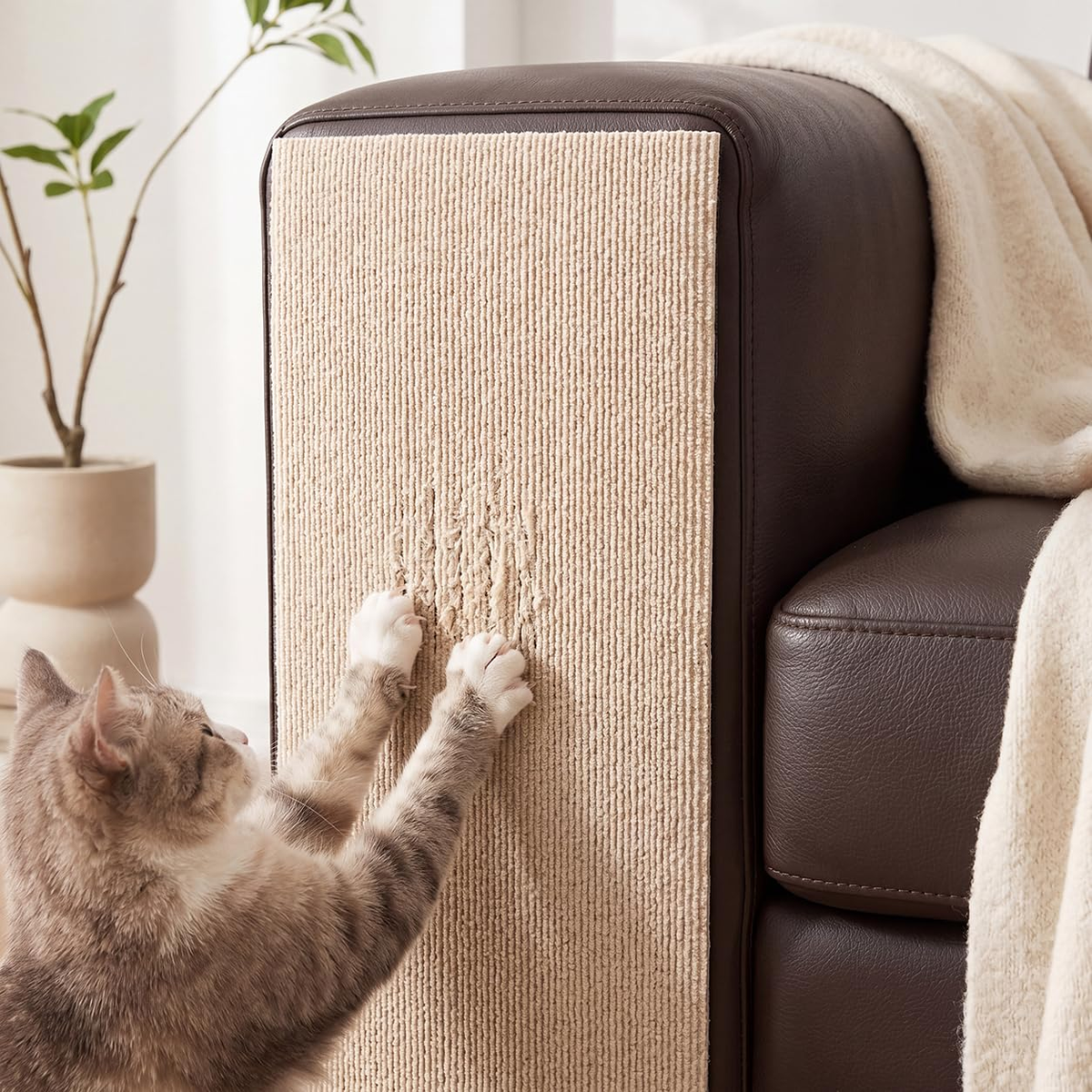 ScratchGuard™ Zelfklevende Krab- & Klimmat voor Katten